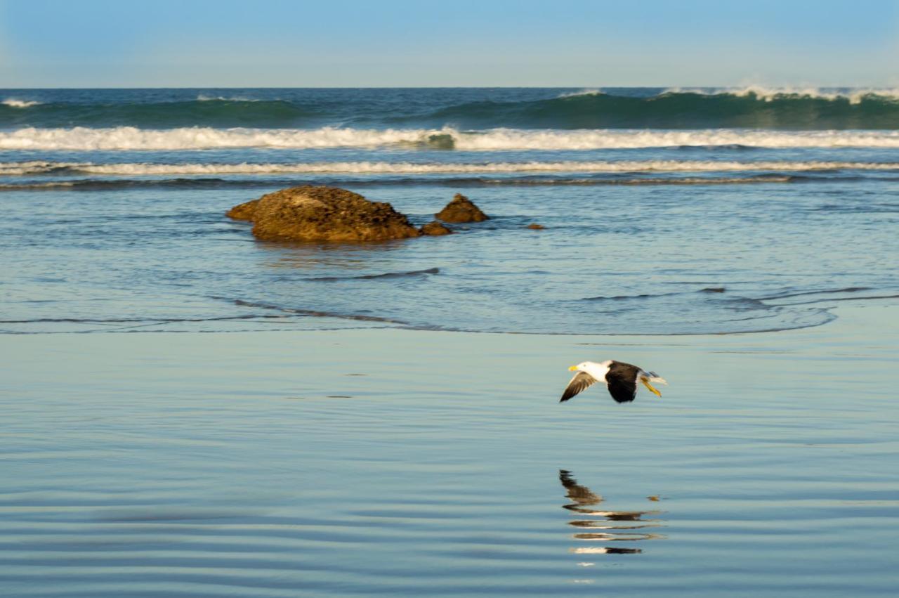 Hostel Dunas Do Santinho Florianópolis 外观 照片