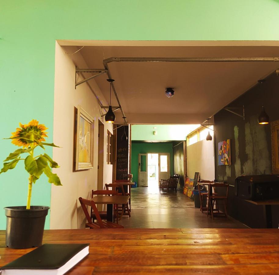 Hostel Dunas Do Santinho Florianópolis 外观 照片